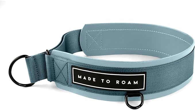 MADE TO ROAM Premium Everyday Dog Collar - Martingale Style No Pull Vegan Leather Collar, Heavy Duty and Lightweight for Small, Medium, Large Dogs (California Horizon, Size 7)