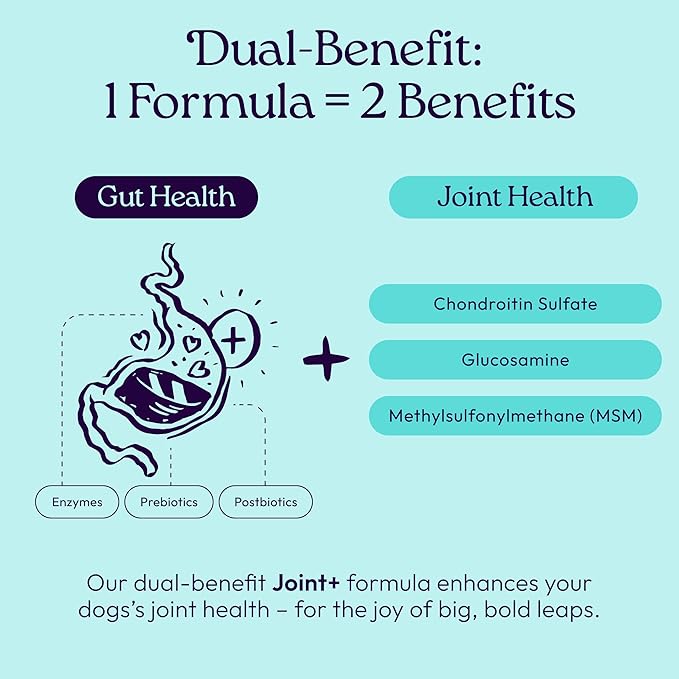 WellJoy Dog Supplement Joint+ GutBoost | Dog Health Supplement | Supports Healthy Flexible Joints | Dual-Benefit GutBoost Formulation | Vet Formulated | USA Made | Chicken Flavor | 90 Soft Chews