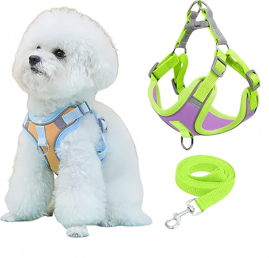 NOWFRESH Cats and Small Dogs Harness and Leash for Walking - Escape Proof Soft Adjustable Vest, Breathable with Reflective Strips for Easy Control（Green and Purple）