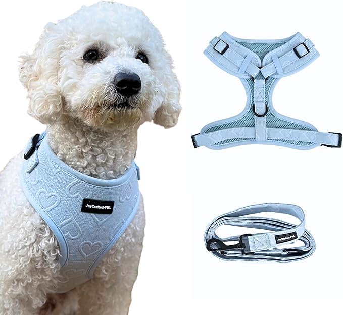 No Pull Neoprene Dog Harness and Leash Set for Small Dog, Neck(14–17 in), Adjustable Soft Mesh Design, Blue S -Lightweight No Choke Fit, Step-in, Escape-Proof Comfort