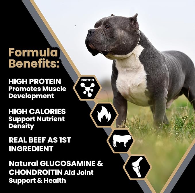 VICTOR Bully Fuel Dry Dog Food, 40 lb – Real Beef First Ingredient, High-Calorie Formula for Lean Muscle, Glucosamine & Chondroitin for Joint Health, Omega 3 & 6 for Skin & Coat