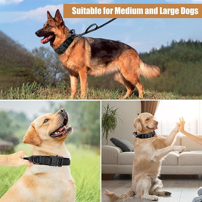Tactical Dog Collar Leash Set, Adjustable Military Training Nylon Collar Dog Training with Control Handleand Metal Buckle, Dog Collar for Medium Large Dogs (Black,L)