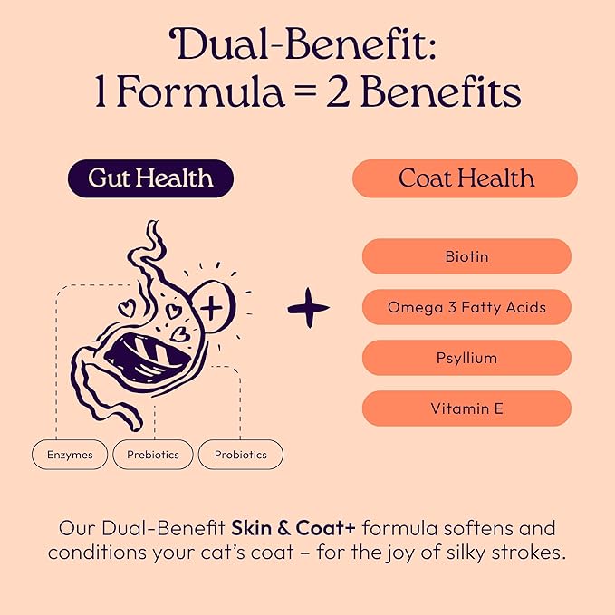 WIJ WellJoy Cat Treat Skin & Coat+ GutBoost | Nourishes Healthy Skin | Supports Shiny Coat | Dual-Benefit GutBoost Formulation | Vet Formulated | Made in USA | Real Shredded Chicken | 120 Soft Chews