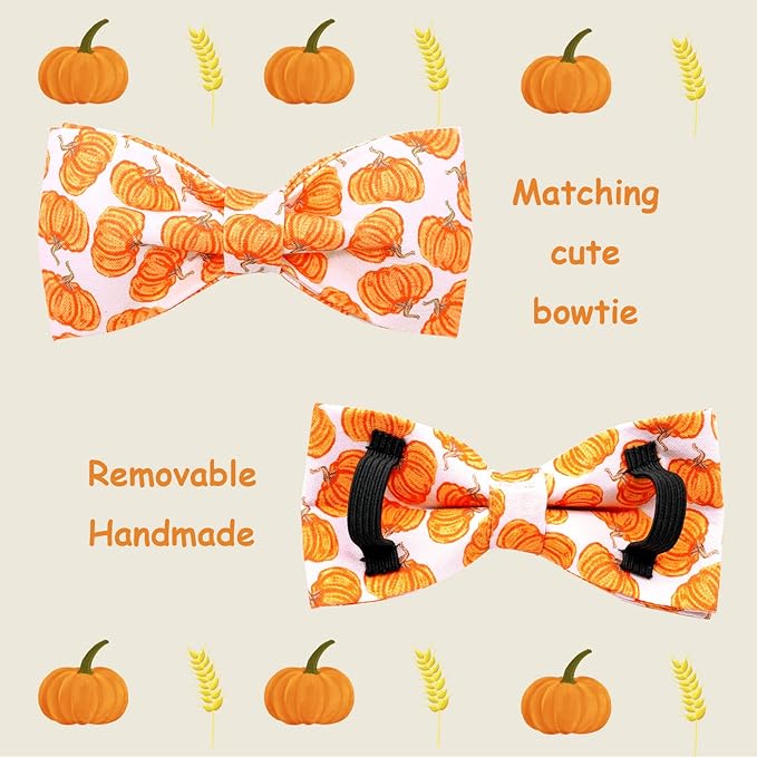 Lionheart glory Halloween Dog Collars, Bowtie Dog Collar Heavy Duty Adjustable Fall Pet Collar for X-Small Puppy Collar Dog Bow Female or Male Dog Collar
