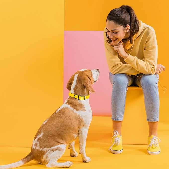 Dogline Biothane Coated Webbing Dog Collar with Black Metal Hardware: Durable Easy-Clean Everyday Collar for Dogs - Comfortable Adjustable Odor-Resistant Pet Collar, W1/2" x L9-12, Lemon Yellow