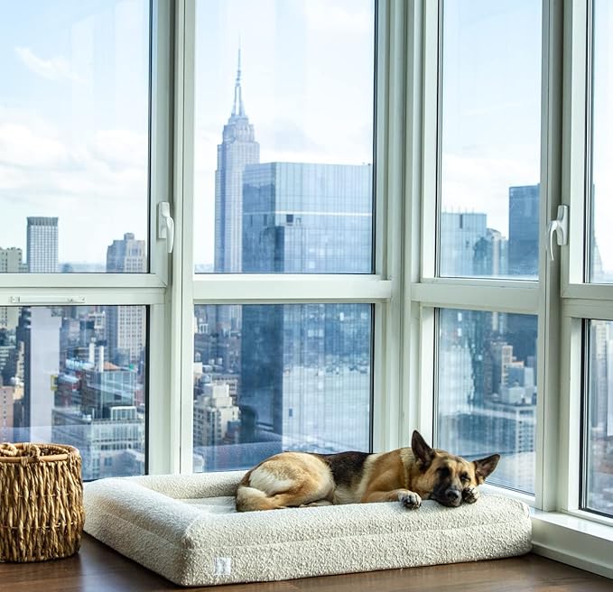 Luxury Boucle Orthopedic Memory Foam Dog Bed with Waterproof Liner and Machine Washable Cover with YKK Zippers (Large, 45" L x 36" W x 7" Th, Cloud)