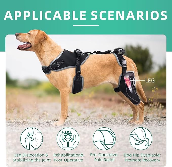 Dog Knee Brace for ACL/CCL Injuries,Torn Ligament,Pain Relief,Joint Warmth,Luxating Patella - Rear Leg Support,Black,Upgraded,Left Legs,Customized