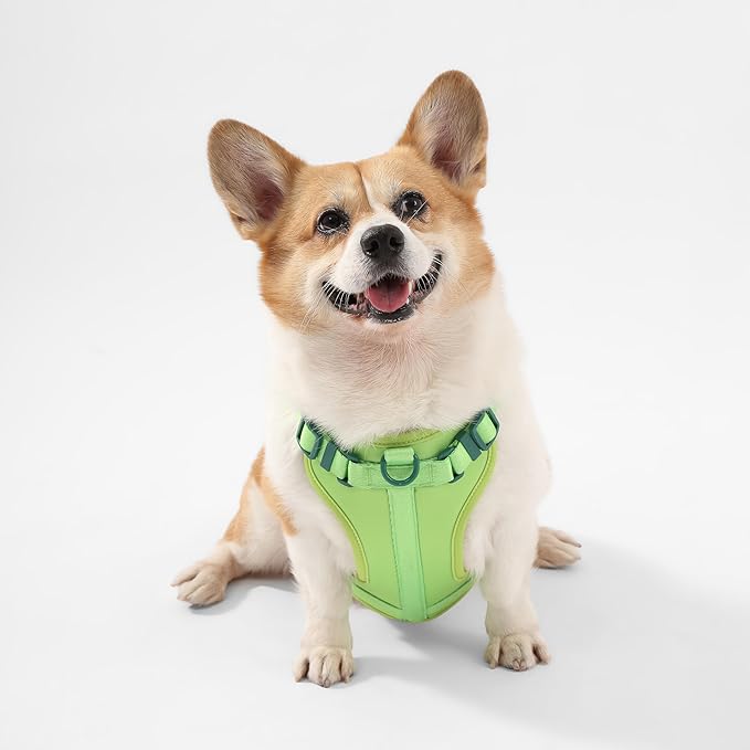 HNS1002B Arlo Medium Adjustable Soft Padded No Pull Pet Harness with 3 Buckles and 3 Leash Clips, Mojito