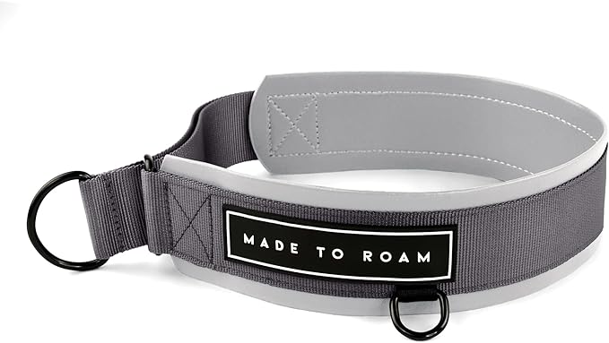 MADE TO ROAM Premium Everyday Dog Collar - Martingale Style No Pull Vegan Leather Collar, Heavy Duty and Lightweight for Small, Medium, Large Dogs (Montana Moonrise, Size 6)