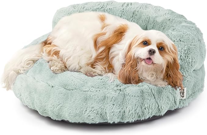 EHEYCIGA Small Dog Bed and Cat Couch for Puppy and Kitten - Fluffy Faux Rabbit Fur Pet Sofa with Washable Removable Cover, Waterproof and Non-Slip, 23 Inch, Sage Green