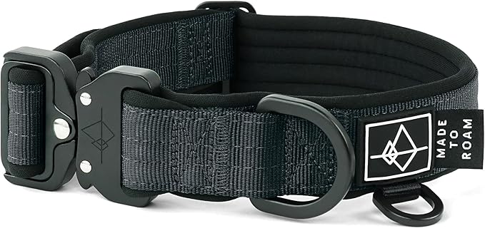 MADE TO ROAM Comfort Collar - Adjustable Nylon Dog Collar with Soft Comfortable Padding, Light Aviation Aluminum Metal Buckle for Small, Medium and Large Dogs (New York Afterlight, Size 3)