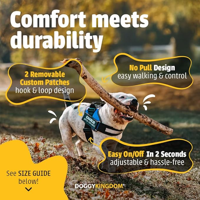 Personalized No-Pull Dog Harness with Name Patch, Adjustable, Reflective, Padded, Heavy Duty Pet Vest to Prevent Tugging, Pulling, or Choking, Training and Walking, Black, S