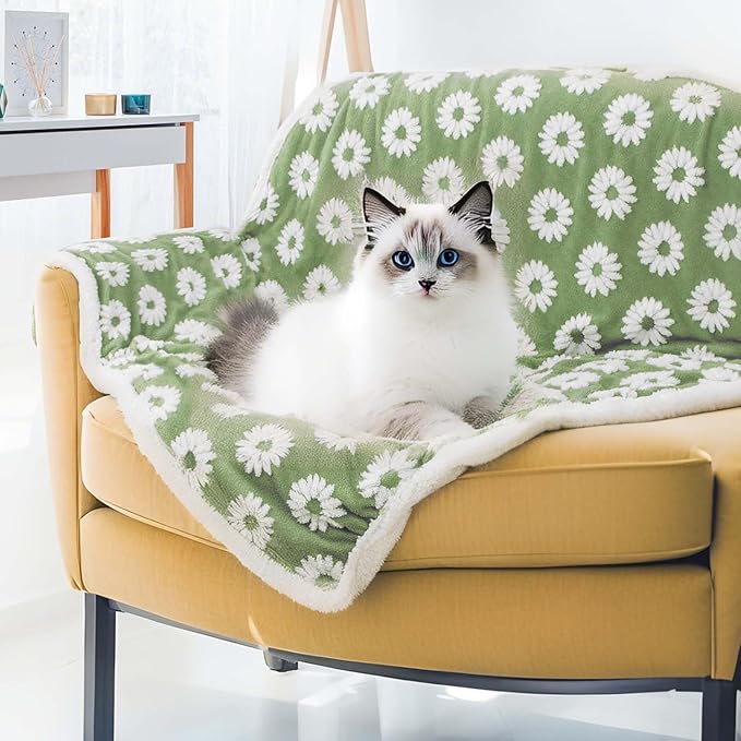 Dog Blanket for Small Medium Large Dogs Fleece Cat Blankets for Indoor Cats Washable Fluffy Pet Bed Blanket Furniture Sofa Couch Cover Protector