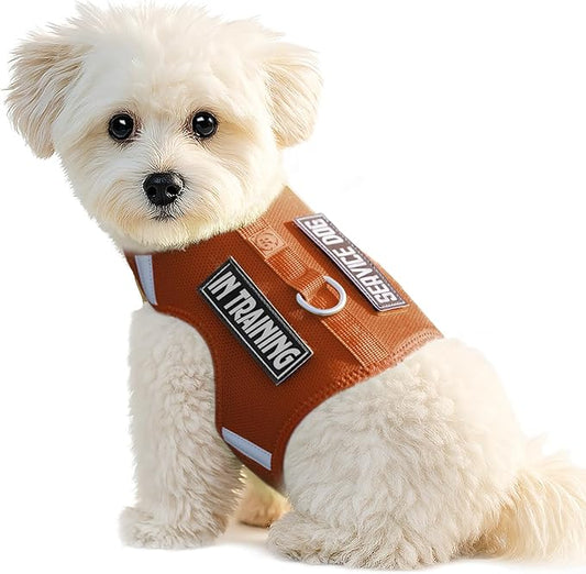 Dog Harness for Puppy – Adjustable Reflective Easy Put On Soft Mesh Vest for Small Dogs with 2 Patches (Carmel Brown,M)