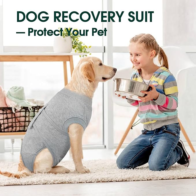 Kuoser Dog Recovery Suit for Male Dogs, Post-Surgery Bodysuit for Spay Neuter, Dog Onesie After Surgery, Anti-Licking Pet Surgical Recovery Suit, Gray XXL