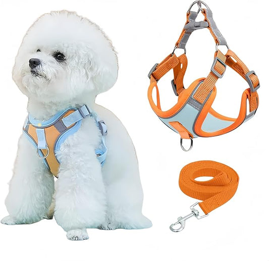 NOWFRESH Cats and Small Dogs Harness and Leash for Walking - Escape Proof Soft Adjustable Vest, Breathable with Reflective Strips for Easy Control（Orange and Blue）