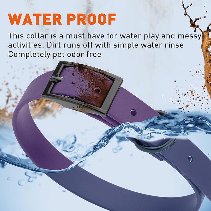 Dogline Biothane Coated Webbing Dog Collar with Black Metal Hardware: Durable Easy-Clean Everyday Collar for Dogs - Comfortable Adjustable Odor-Resistant Pet Collar, W5/8" x L12-15, Violet Purple