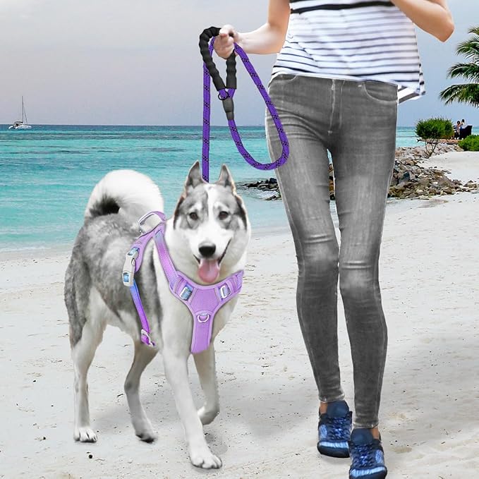 BARKBAY No Pull Dog Harness Large Reflective Dog Harness with Front Clip and Easy Control Handle for Walking Training Running with ID tag Pocket(Lavender Sky,L)