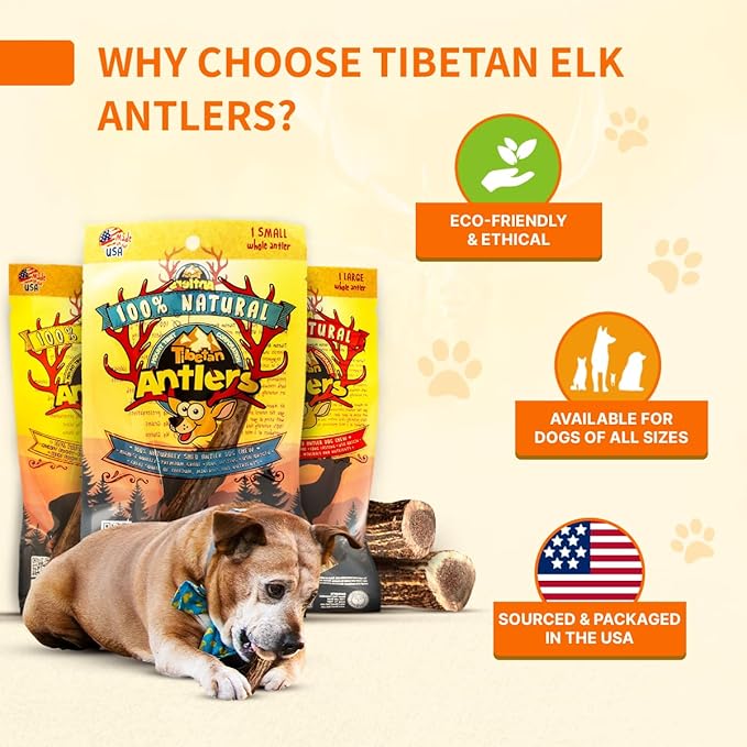 Tibetan Elk Antler for Dogs, Grade-A, 7"+ Premium Antler Chews, Naturally shed Healthy & Longer Lasting Aggressive chewers, USA Product (Whole)