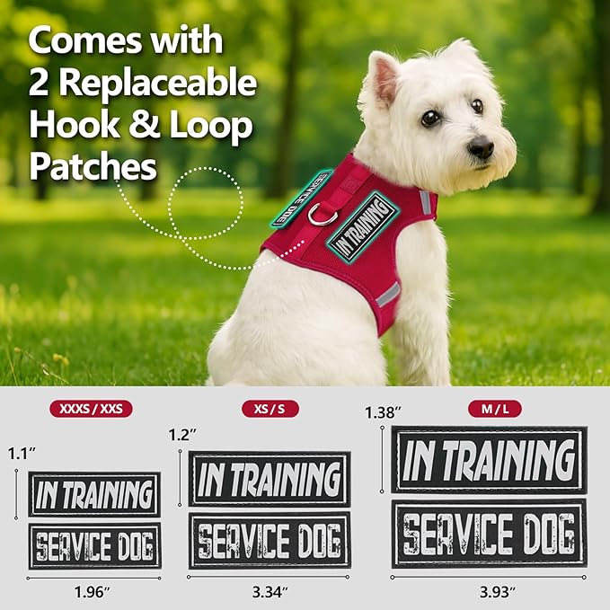 Dog Harness for Puppy – Adjustable Reflective Easy Put On Soft Mesh Vest for Small Dogs with 2 Patches (Burgundy Red,XXS)