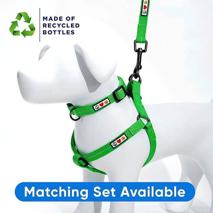 Pawtitas Recycled Dog Collar with Reflective Stitched Puppy Collar Made from Plastic Bottles Collected from Oceans Small Earth Green