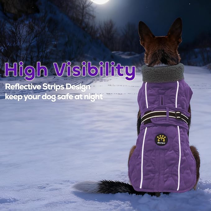 Dog Coats, Warm Puppy Apparel with Fleece Lining for Cold Weather, Windproof Medium Dog Winter Jacket, Reflective Dogs Snow Coat with Leash Hole and Adjustable Buckle, NewPurple M