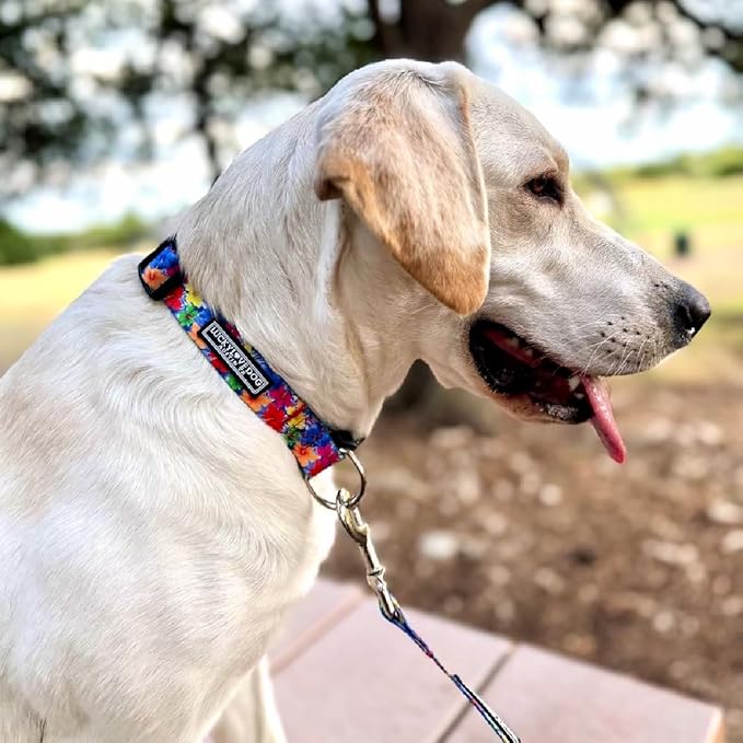 Lucky Love Dog - Easy Click Buckle Dog Collar with Leash Set Combo, Durable & Comfortable for Male & Female Dogs, Pet Collar for Small to Large Dogs, Secure Fit - Hana Combo, Medium