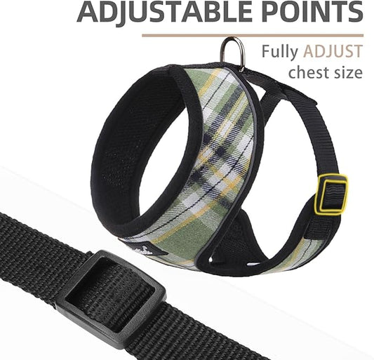 PUPTECK Soft Mesh Dog Harness and Leash Set Pet Puppy Cat Comfort Padded Vest No Pull Harnesses, Green/Yellow, S
