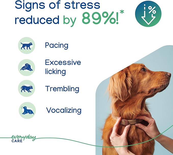 Virbac ZENIDOG Long Acting Dog Calming Pheromone Collar for Stress Relief, Medium/Large Dog - Lasts up to 3 Months