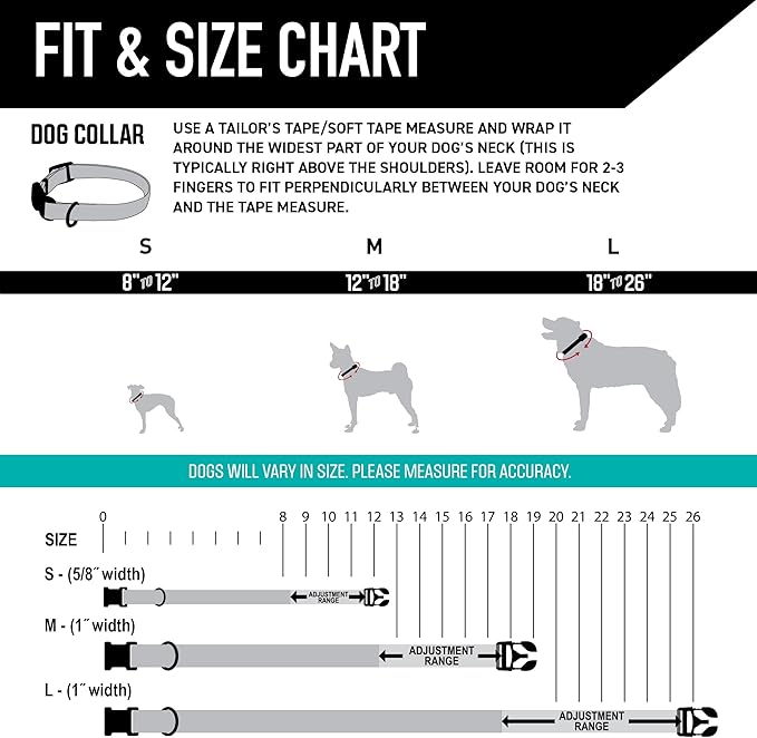 Wolfgang Heavy Duty, Adjustable Dog Collar with Quick Release Nylon Buckle for Walking & Training, LazyDaisy Print, Large