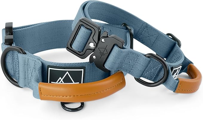 Roam Made toPremium Explorer Control Collar - Adjustable Heavy Duty Nylon Dog Collar with Quick-Release Metal Buckle and Leather Handle (California Horizon, Size 5, Control)