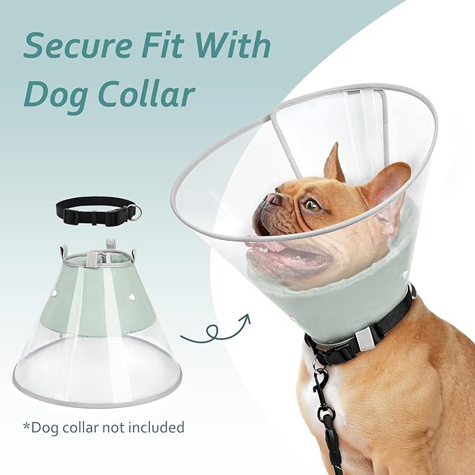 Dog Cone Collar with Snap-on Detachable Soft Liner, Lightweight Transparent Elizabethan Alternative to Stop Licking, for Spay Neuter Surgery Recovery, for Medium Large Small Dogs (Green,2XL)