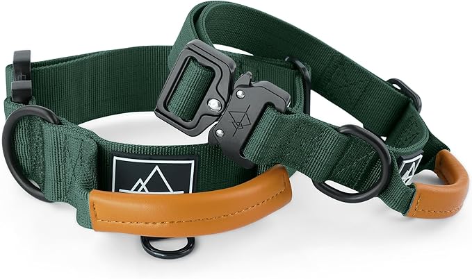 ROAM Made to ROAM Premium Explorer Control Collar - Adjustable Heavy Duty Nylon Dog Collar with Quick-Release Metal Buckle and Leather Handle (Maine Marina, Size 4, Control)