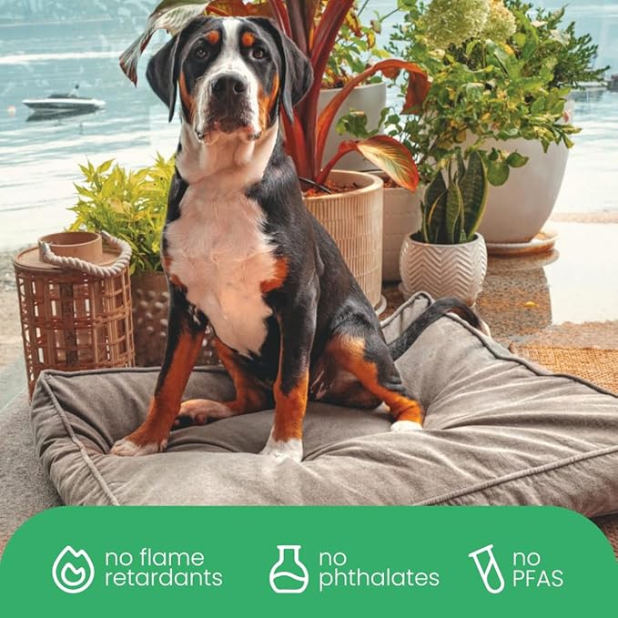 Molly Mutt Jupiter Dog Bed Duvet Cover, GOTS-Certified 100% Cotton Canvas Cover for Dog, Puppy, or Cat Bed, Durable, Washable, and Free of Harmful Chemicals, Medium/Large, 27"x36"x5", Brown