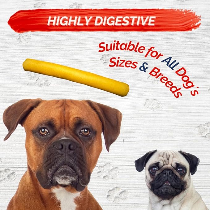 6 Pack 10-Inch Pork Skin Rolls – Natural Dog Chews for Medium and Large Dogs – Long Lasting, Raw Hide Free, Highly Digestible Treats for Aggressive Chewers – Oven Roasted