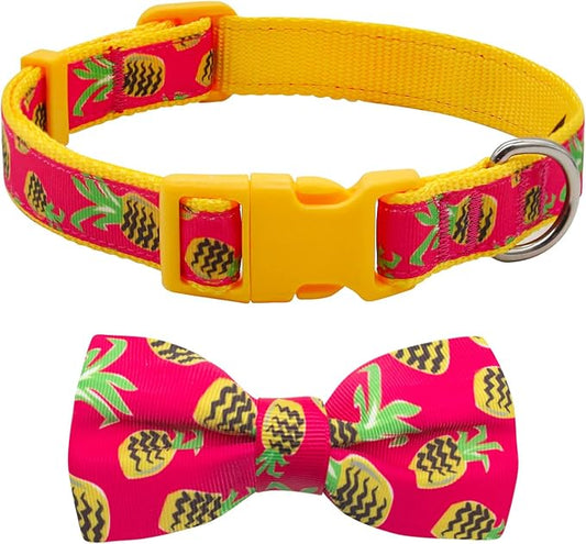 azuza Bowtie Dog Collar, Soft & Comfy Dog Collar with Bow, Fun Patterns & Bright Color for Medium Dogs