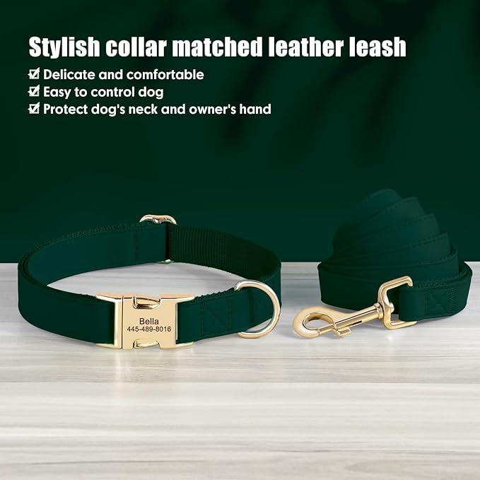PET ARTIST Personalized Dog Collars, Custom Dog Collar with Engraved Silent Name Tag, Gold Quick Released Buckle & Soft Nylon Padded, Elegant Colors & Matching Leash for Small Dogs,Green,M Fit 13-19"