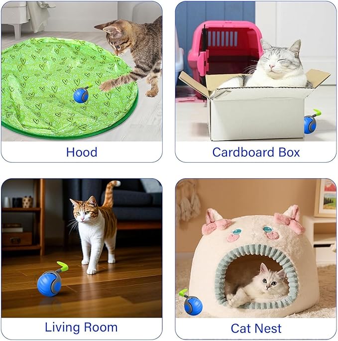 LUPAPA Automatic Moving Cat Toy, 2025 Upgrade Motion Activated Ball with Feather Tail, USB Rechargeable Smart Cat Toys for Indoor, Fun Exercise for Kittens (Blue and Orange)