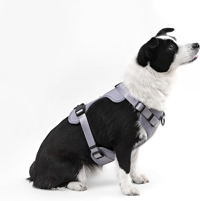 HNS1003N Arlo Large Adjustable Soft Padded No Pull Pet Harness with 3 Buckles and 3 Leash Clips, Martini