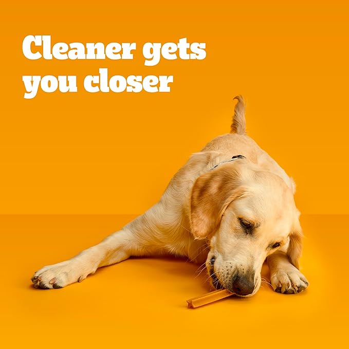 Pedigree Dentastix Small and Toy Breed Dog Treats, Original with Real Chicken, 20.3 oz. Bag (84 Treats)