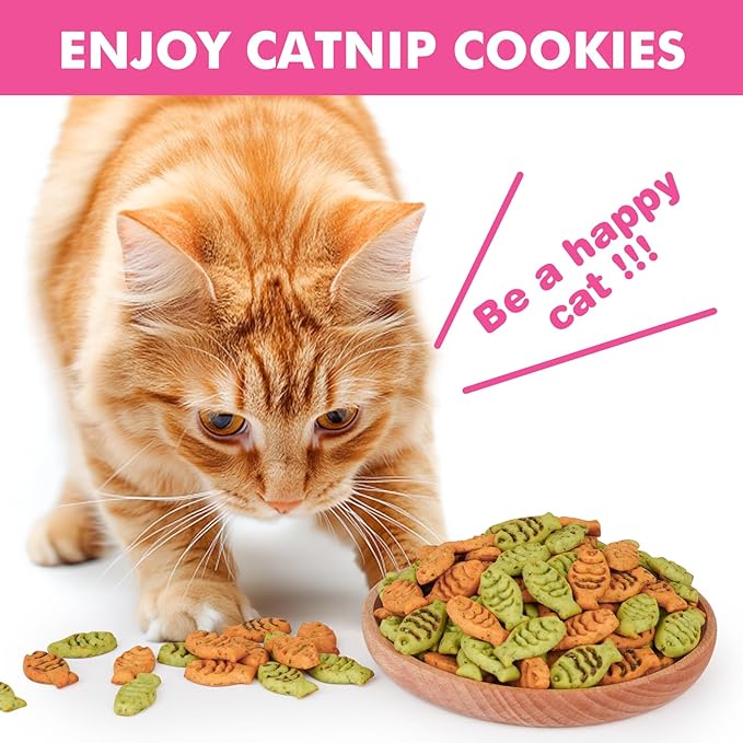 Puddonio Catnip Cat Treats, Chicken and Salmon Flavor Cat Snacks, Training Biscuits Treats for Cats, Crunchy Fish Shape Adult Cat Biscuits, 16 oz