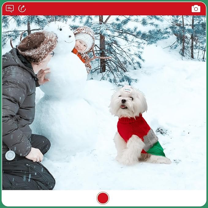 EXPAWLORER Dog Sweater - Small Dogs Fall Sweaters for Girls Boys,Classic Turtleneck Knitwear Dog Clothes for Cold Weather, Cable Knit Dogs Outfit,Coat,Pet Apparel Gift(Red&Green,S)