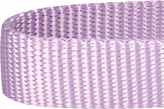 Blueberry Pet Essentials Matching Dog Collar and Leash Set in Lavender, Adjustable Classic Solid Color Nylon Collar with 4 ft Leash for Large Dogs
