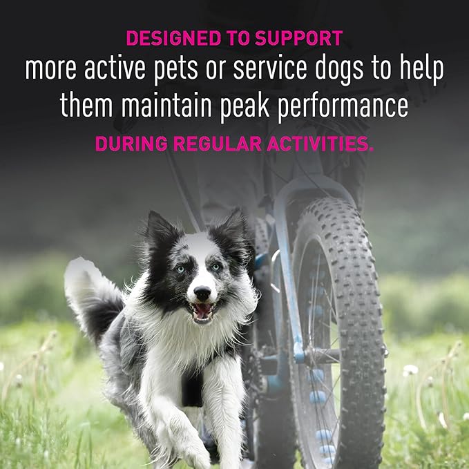 EUKANUBA Adult Premium Performance 26/16 Exercise Dry Dog Food, 28 lb Bag
