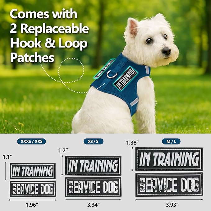 Dog Harness for Puppy – Adjustable Reflective Easy Put On Soft Mesh Vest for Small Dogs with 2 Patches (Prussian Blue,M)
