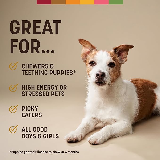 Earth Animal No Hide Chews - Long Lasting Rawhide Free Small Dog Chews Rolls, Peanut Butter - 6 Count