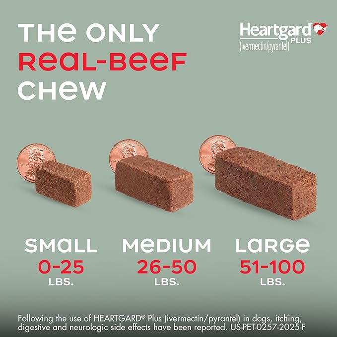 HEARTGARD® Plus (ivermectin/pyrantel) Real-Beef Chewables for Dogs 26-50 lbs (Green Box) 12 Month Supply of Chews (Heartworm Disease Preventive)