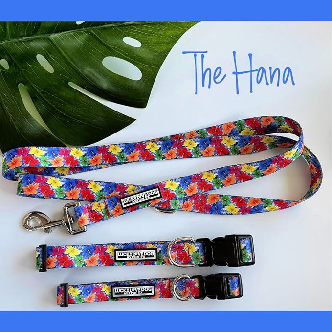 Lucky Love Dog - Adjustable Dog Collar with Easy Click Buckle for Small to Large Ones, Durable, & Comfortable for Male & Female Dogs, Pet Collar for Puppies & Adult Dogs - Hana, Large