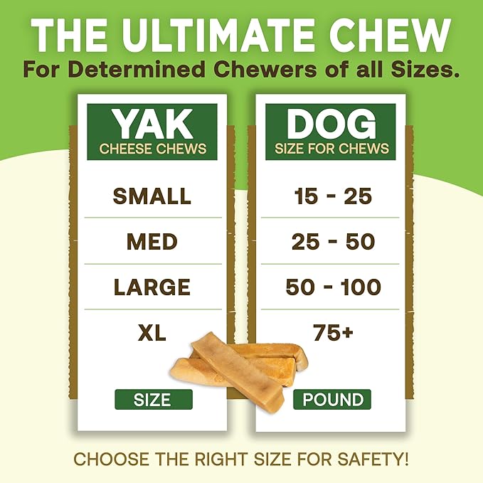EcoKind Premium Gold Yak Cheese Himalayan Dog Chews, Healthy Dog Treats for Medium Dogs, All Natural, High Protein Dog Chew, Water Buffalo, Medium - 3 Chews