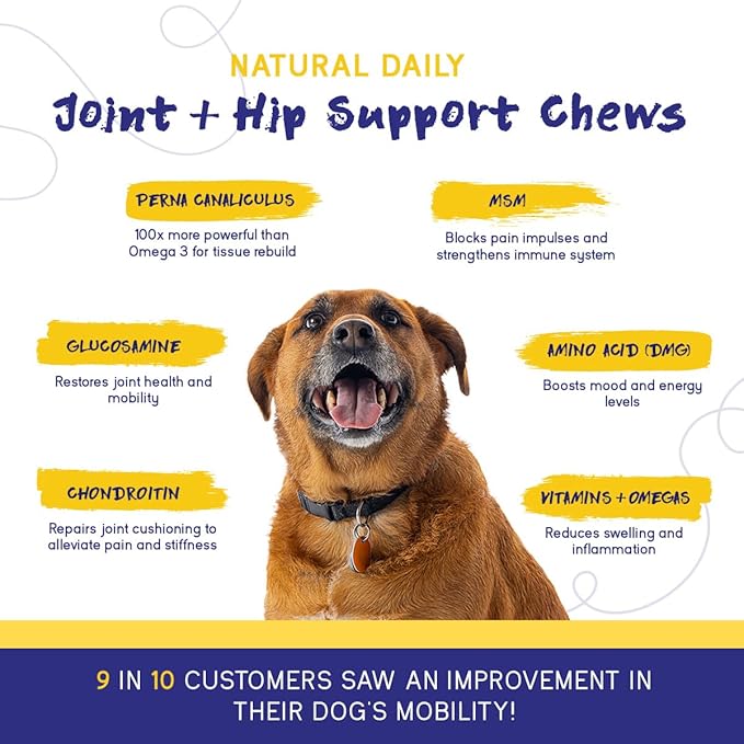PupGrade Joint Support Supplement for Dogs - Natural Glucosamine Chondroitin with MSM - Hip & Joint Pain Relief - Recommended for Hip Dysplasia, Arthritis & Joint Disease - USA Tested - 360 Chews